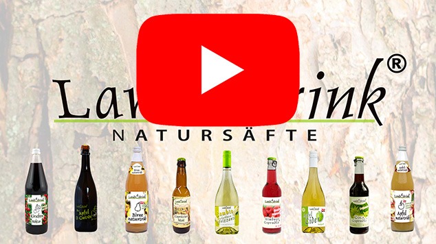 Imagevideo youtube 1