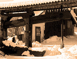 traditionelle Wurzeln im Triestingtal